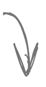 Pfeile gezeichnet (18)