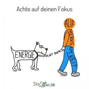 Coaching Karten - Energie folgt der Aufmerksamkeit