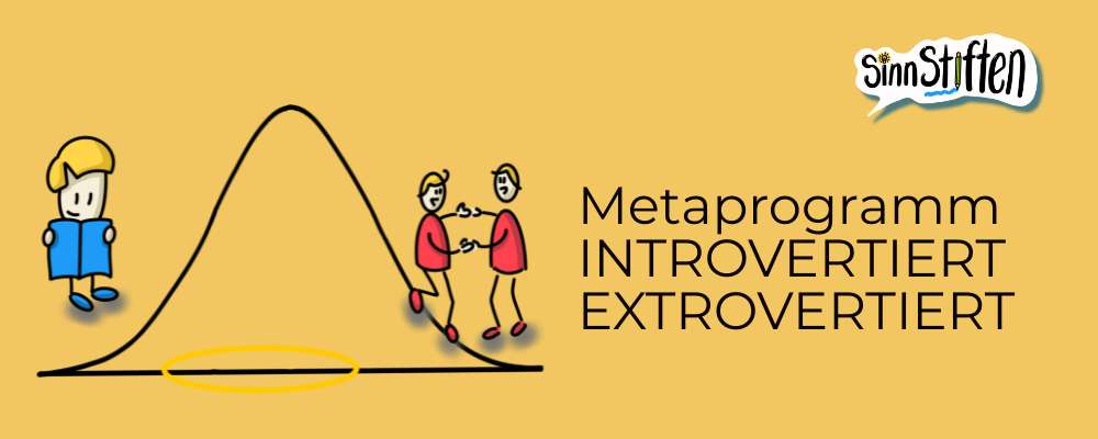 metaprogramm introvertiert extrovertiert